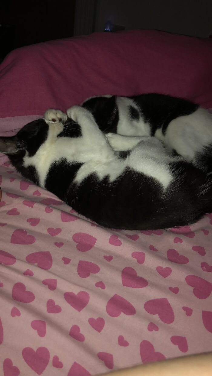 Sister And Brother Snuggles 🥰