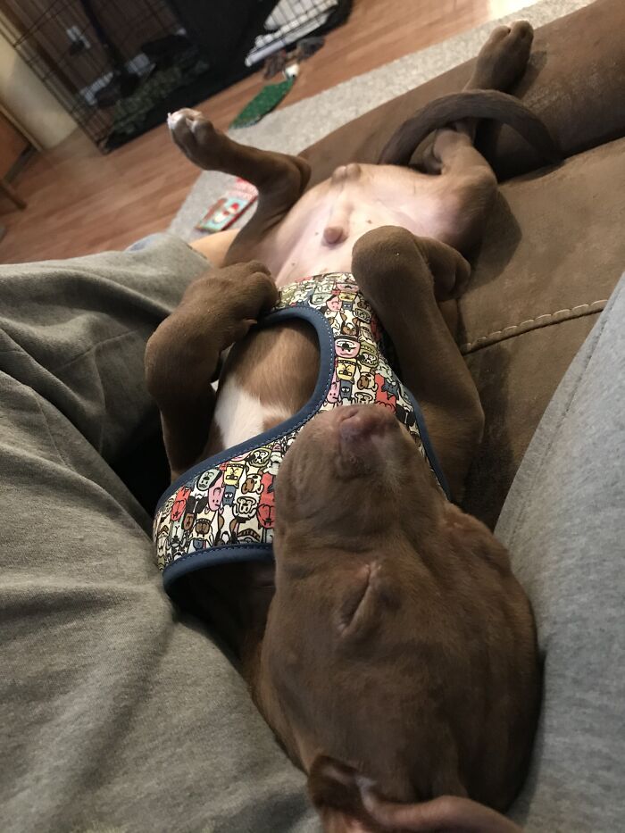 Number 1 Of 2 Tiny Space Heaters.