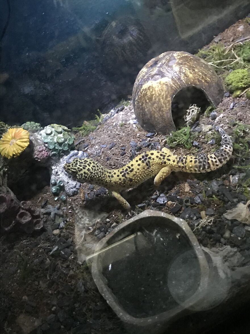 Thought You Guys Might Like Some Cute Animals :)