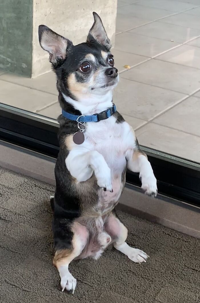 This Is What I See When Enjoying My Lunch Each Day