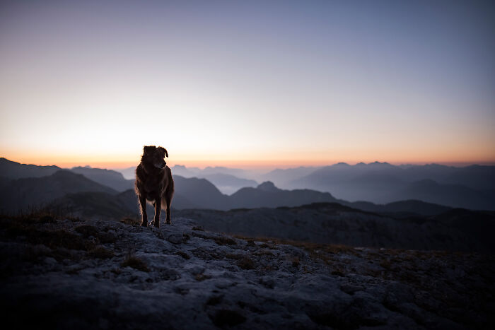 One Way Ticket To Paradise - I Will Take You On A Little Journey