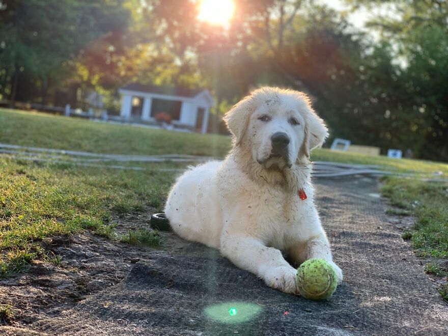 These Are Some Of The Lots Of Images I Have Of My Little (I Mean Big) Floofer.