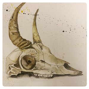 annekathrinschoerner avatar