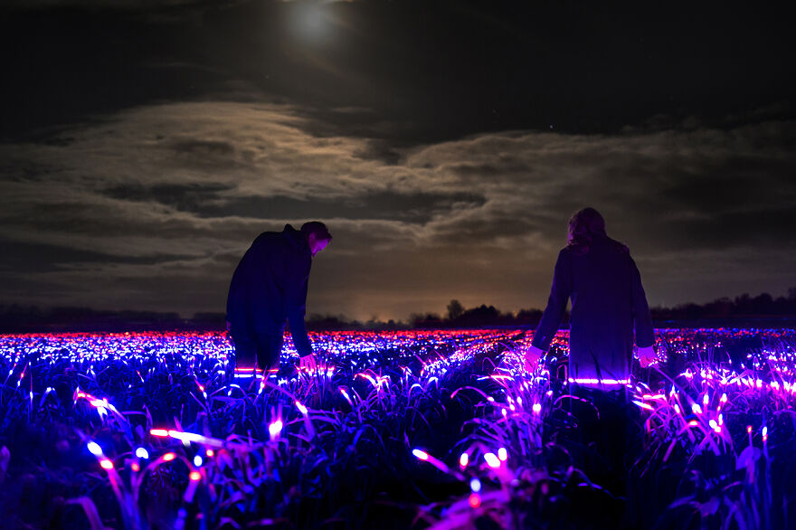 My Project Transforms 20,000 Square Meters Of Leek Into A Dreamscape My Project Transforms 20,000 Square Meters Of Leek Into A Dreamscape