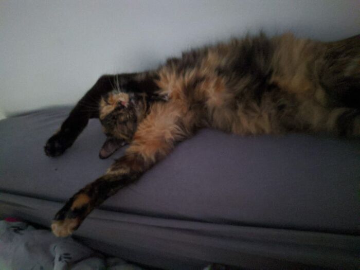 Grisina Sleeping Beauty