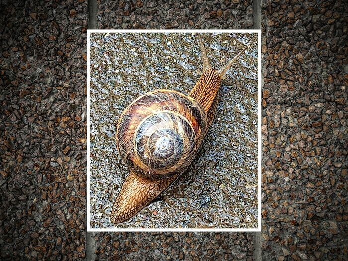 Little Fashionista – The Perfect Balance Of Brown Shades!