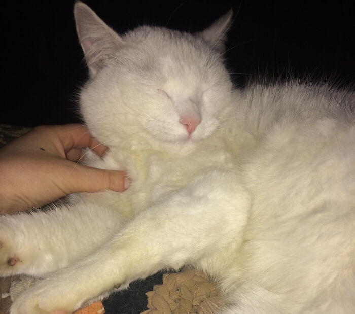 After 10 Years Of Sleep