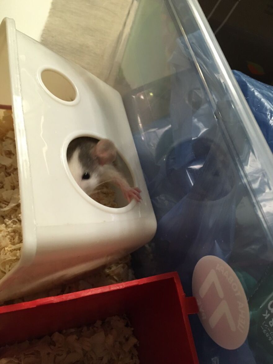 Mom Im Watching You!