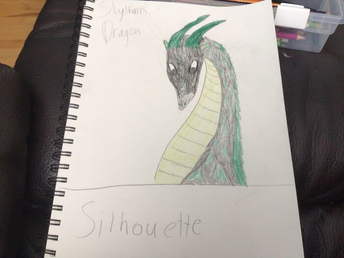 This Is Hogwarts Houses Meet Wings Of Fire