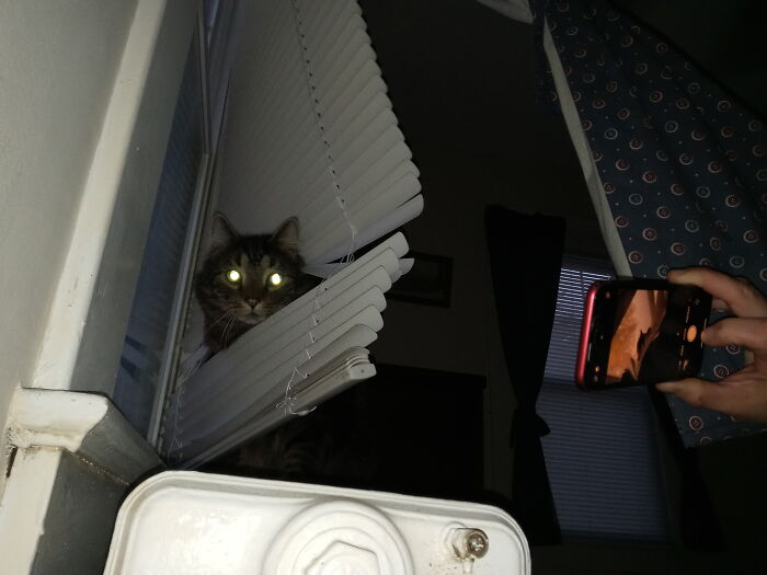 We Don’t Argue With Him