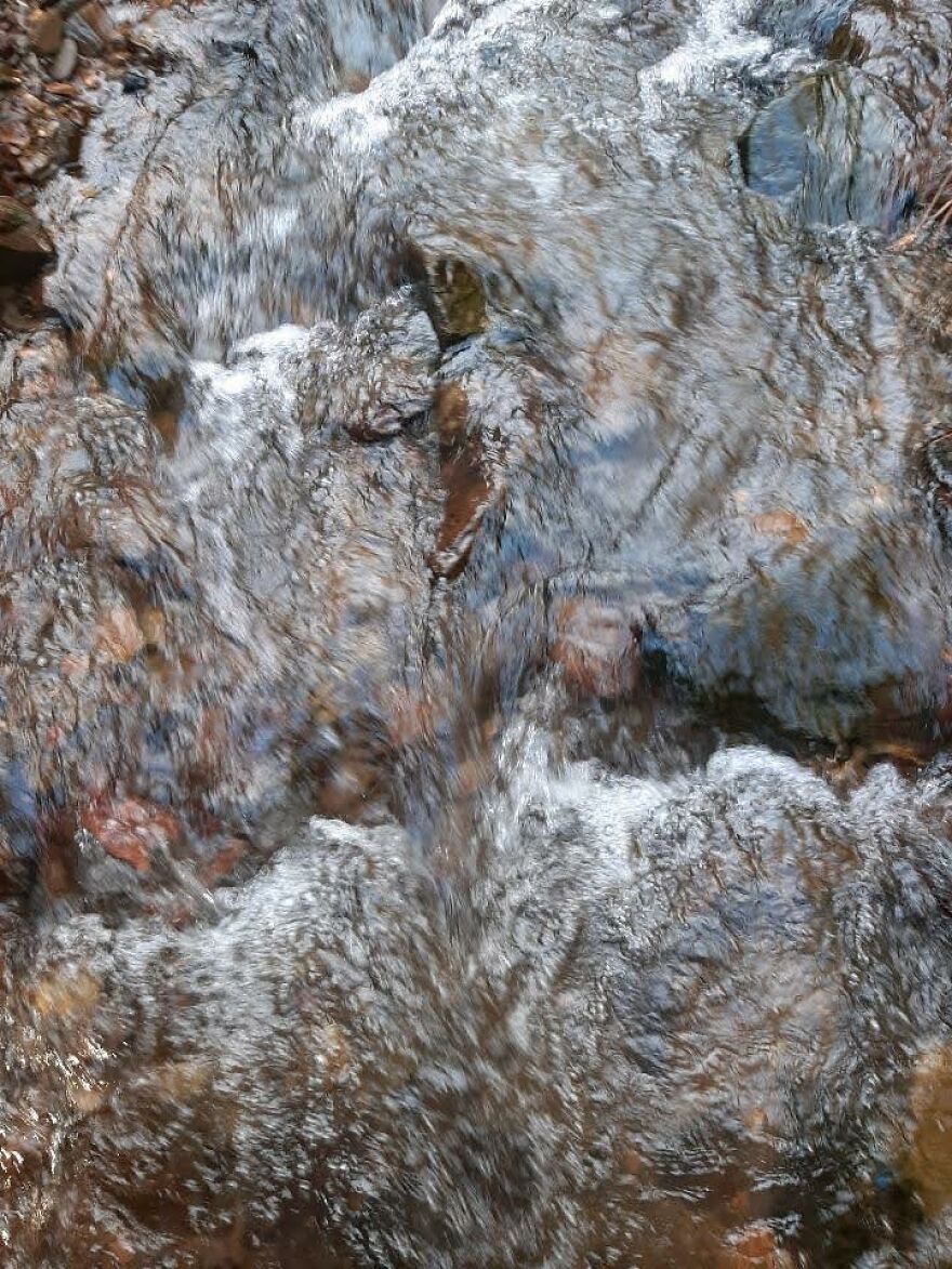 I Capture Beautiful Nature Scenes In My Neighborhood; Here Are 15 Of My Favorites