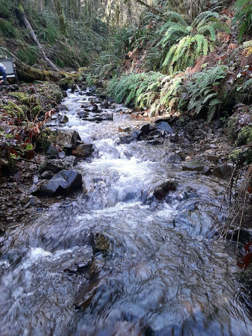 I Capture Beautiful Nature Scenes In My Neighborhood; Here Are 15 Of My Favorites