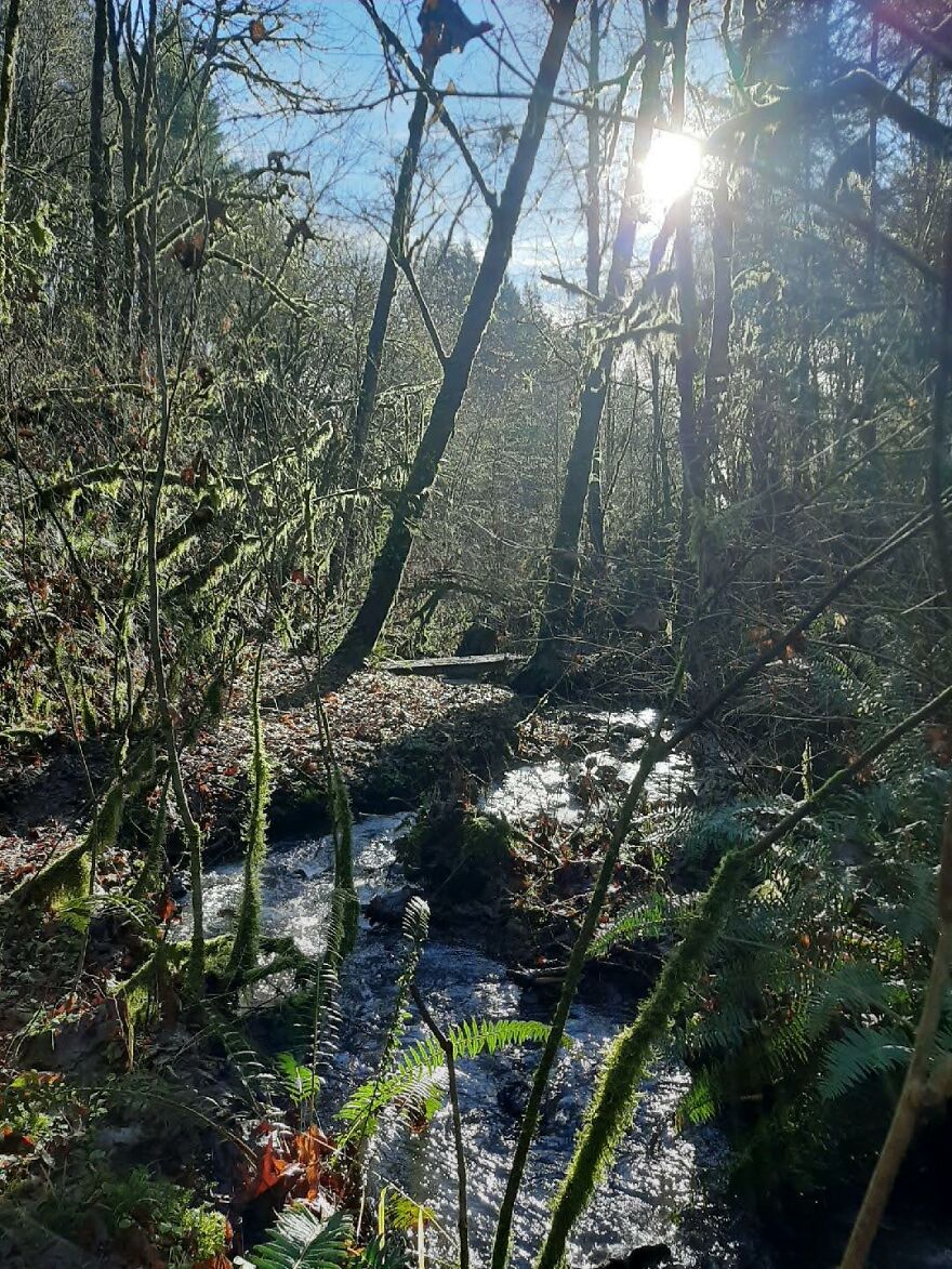 I Capture Beautiful Nature Scenes In My Neighborhood; Here Are 15 Of My Favorites