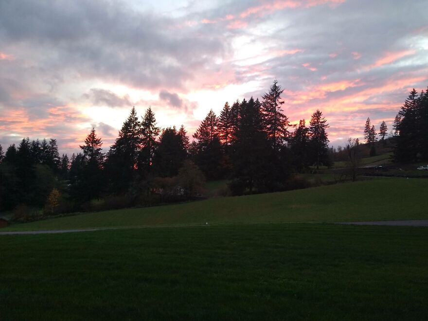 I Capture Beautiful Nature Scenes In My Neighborhood; Here Are 15 Of My Favorites