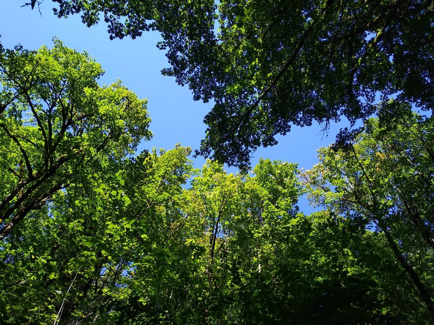 I Capture Beautiful Nature Scenes In My Neighborhood; Here Are 15 Of My Favorites