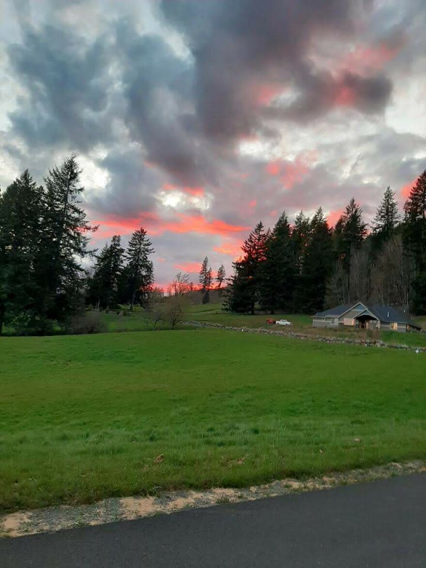 I Capture Beautiful Nature Scenes In My Neighborhood; Here Are 15 Of My Favorites