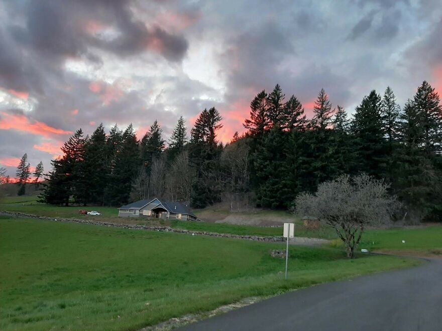 I Capture Beautiful Nature Scenes In My Neighborhood; Here Are 15 Of My Favorites