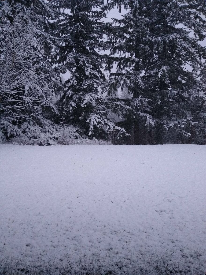 I Capture Beautiful Nature Scenes In My Neighborhood; Here Are 15 Of My Favorites