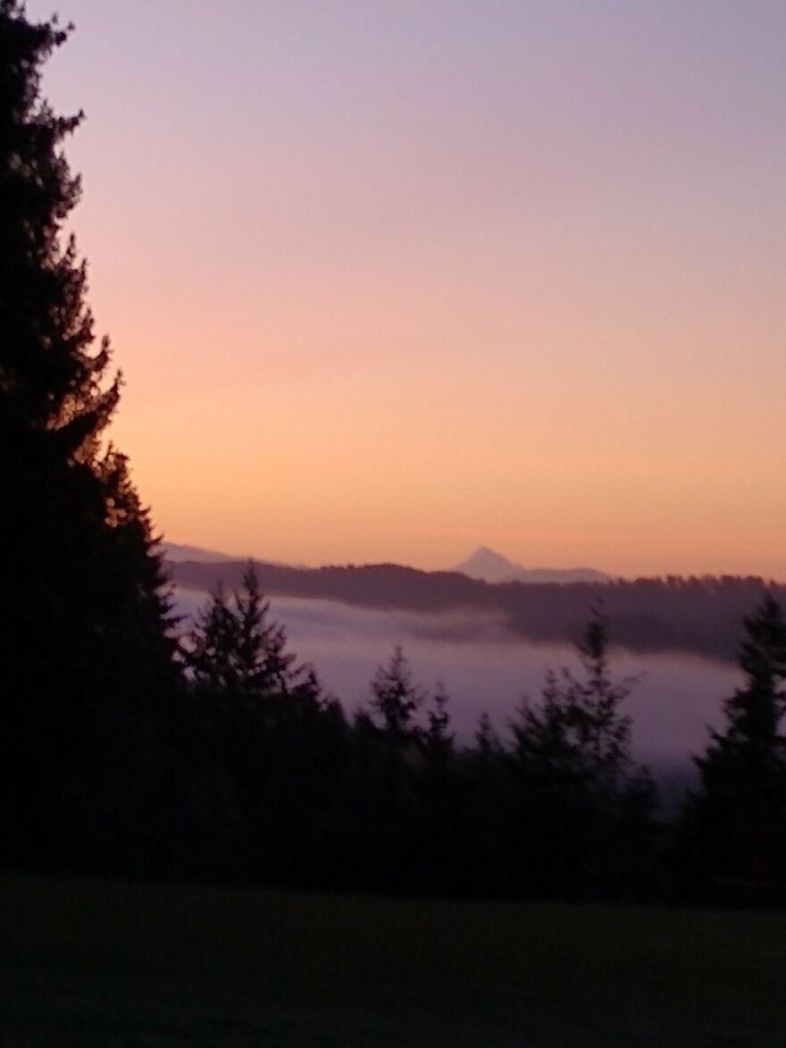 I Capture Beautiful Nature Scenes In My Neighborhood; Here Are 15 Of My Favorites