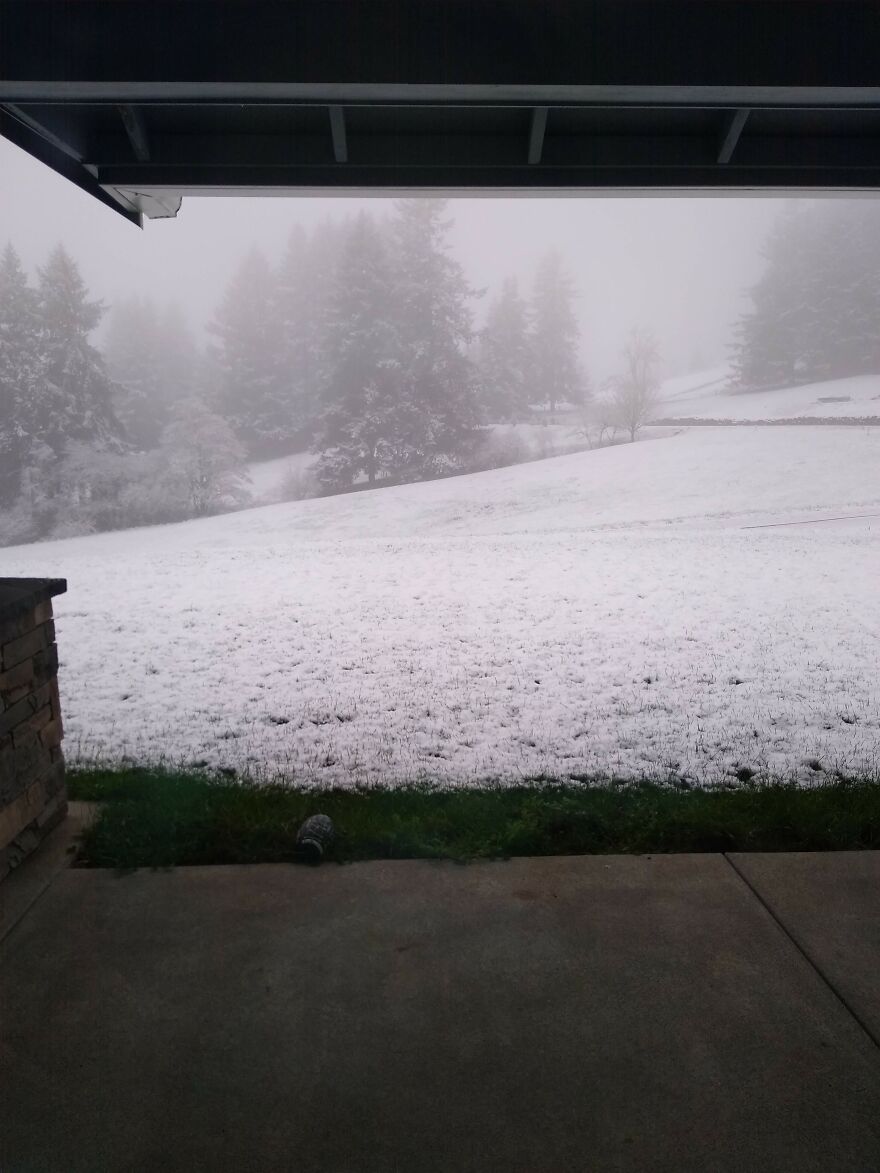 I Capture Beautiful Nature Scenes In My Neighborhood; Here Are 15 Of My Favorites