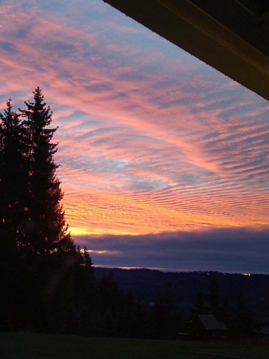 I Capture Beautiful Nature Scenes In My Neighborhood; Here Are 15 Of My Favorites