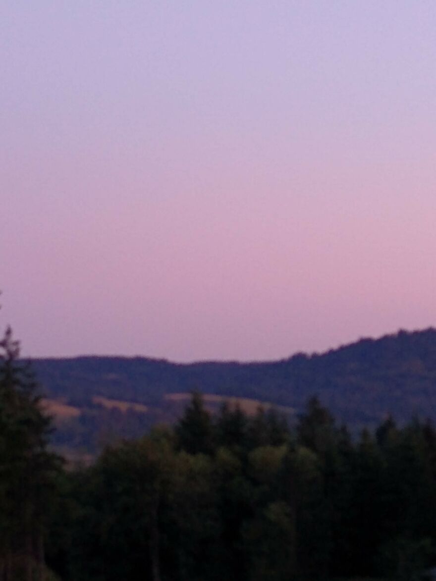 I Capture Beautiful Nature Scenes In My Neighborhood; Here Are 15 Of My Favorites