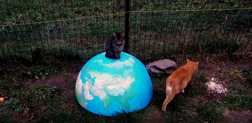 I Create Large Earth Globes From Gypsum And Natural Pigments (16 Pics) I Create Large Earth Globes From Gypsum And Natural Pigments (16 Pics)