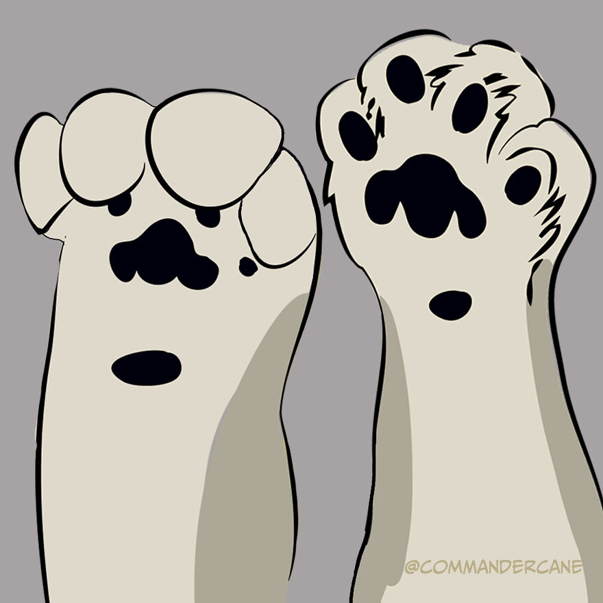 Maneki Neko From A Snow Leopard Pov