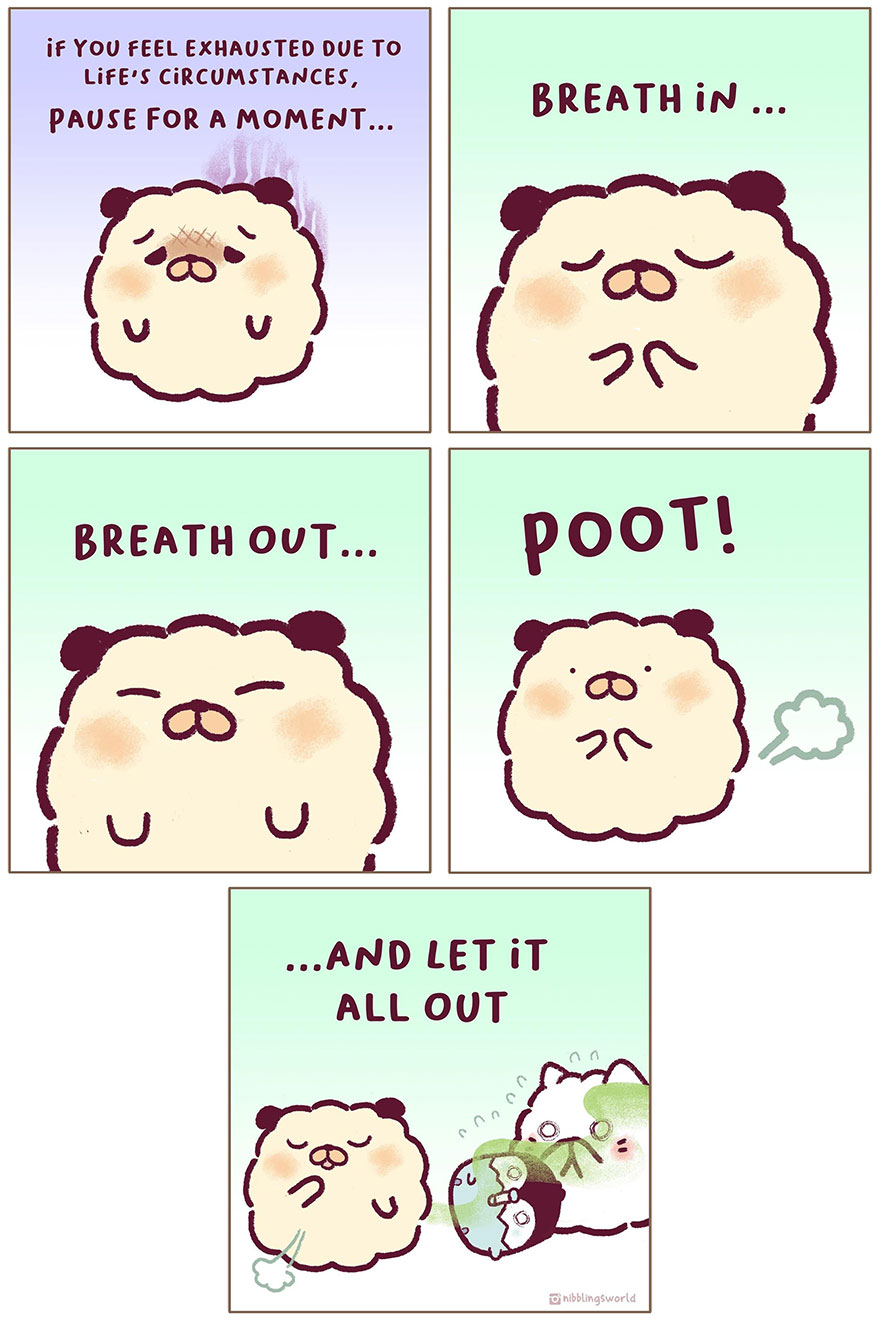 2020 Has Been Tough, So We Thought You May Need Some Of This...