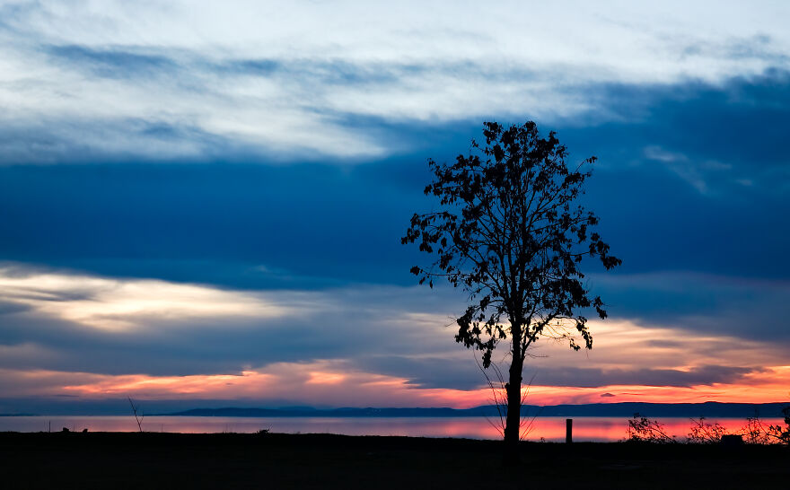 Leaving The Lonely Tree On The Top Of The Rocks