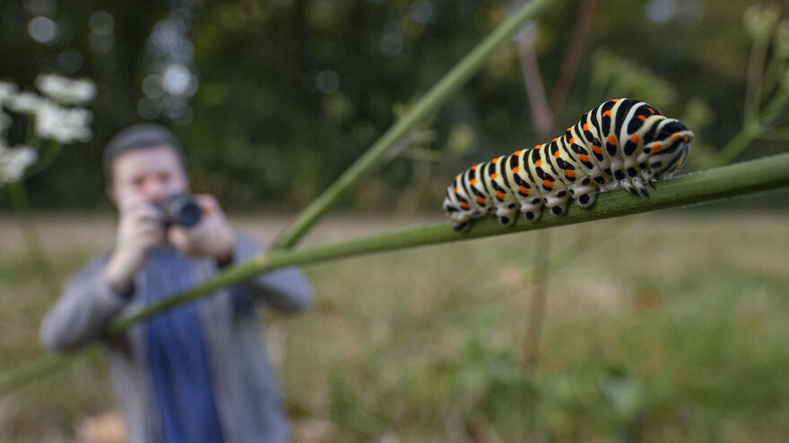 I Turned Myself Into A 3D-Printed Miniature So I Could Capture Miniature Worlds