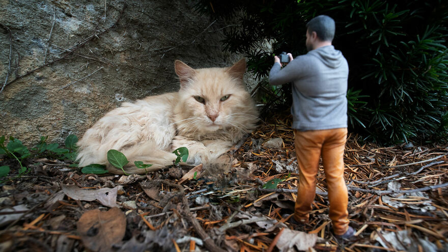I Turned Myself Into A 3D-Printed Miniature So I Could Capture Miniature Worlds