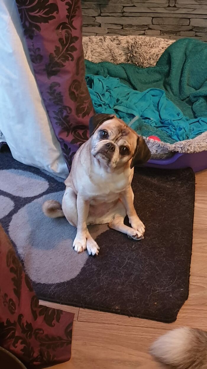 Smush Sittin' On Butt