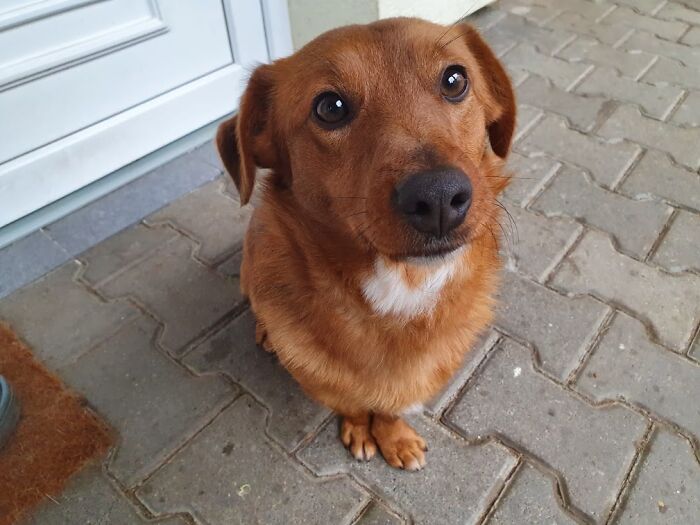 I Know That There Is A Treat In Your Hand.