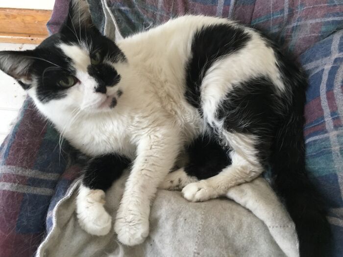 Poor Baby Will Be Waiting In Heaven For Me.