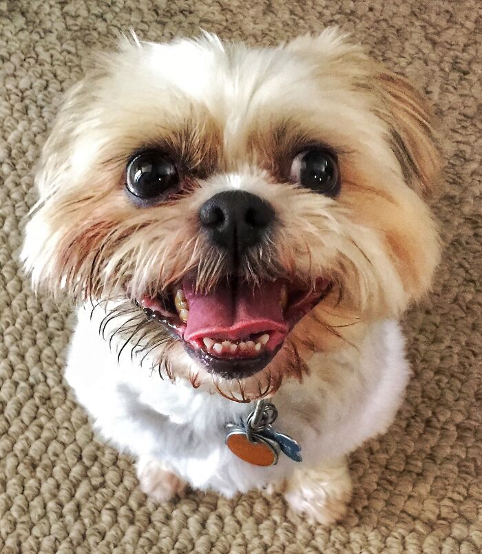 Riley (Rip Last Month)