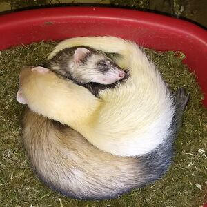 delilahbesmith avatar