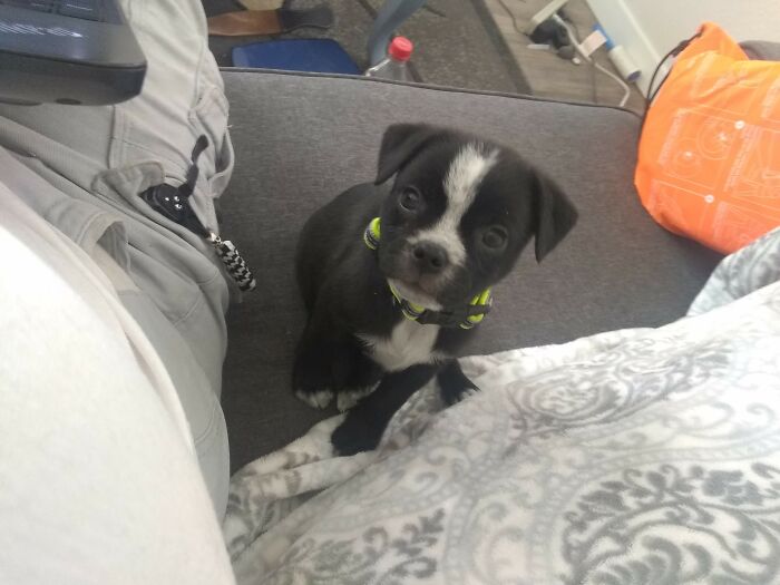 Squirrel Then Two Years Later