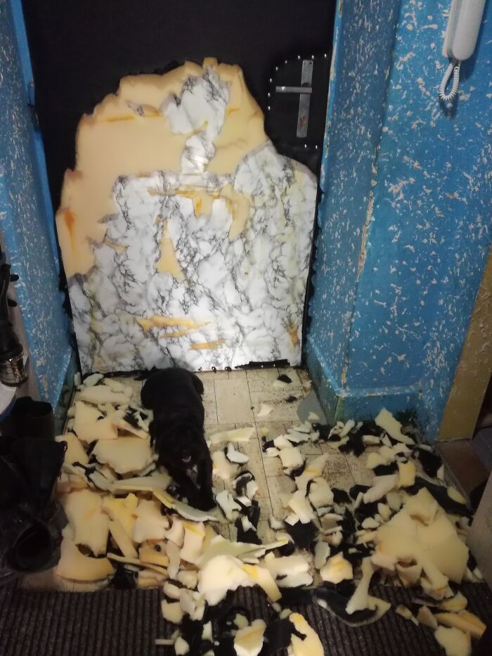 Once We Talked About Getting New Door. Apparently She Heard Us And Wanted To Help