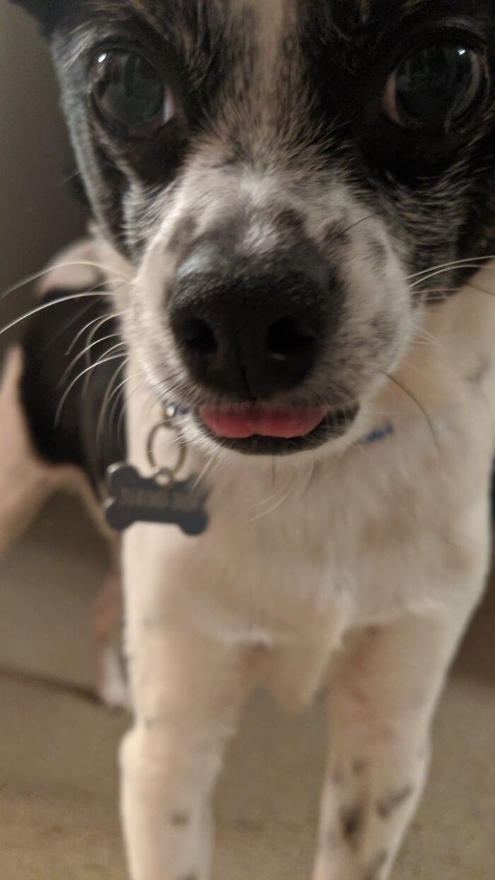 Lil' Derpy