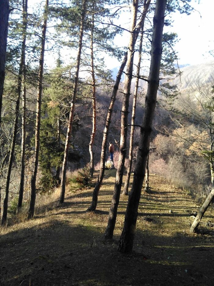 Bridge Designed By Eiffel In A Small Town In Georgia Bridge Designed By Eiffel In A Small Town In Georgia