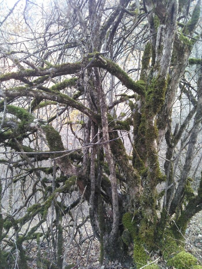 Bridge Designed By Eiffel In A Small Town In Georgia Bridge Designed By Eiffel In A Small Town In Georgia