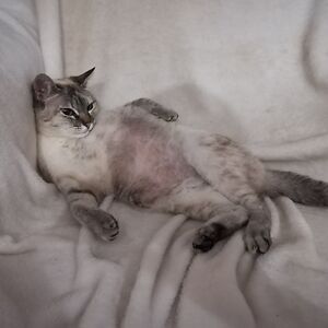 margaridarosado1 avatar