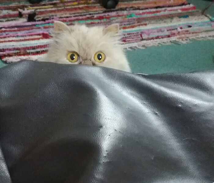 The Current Situation..