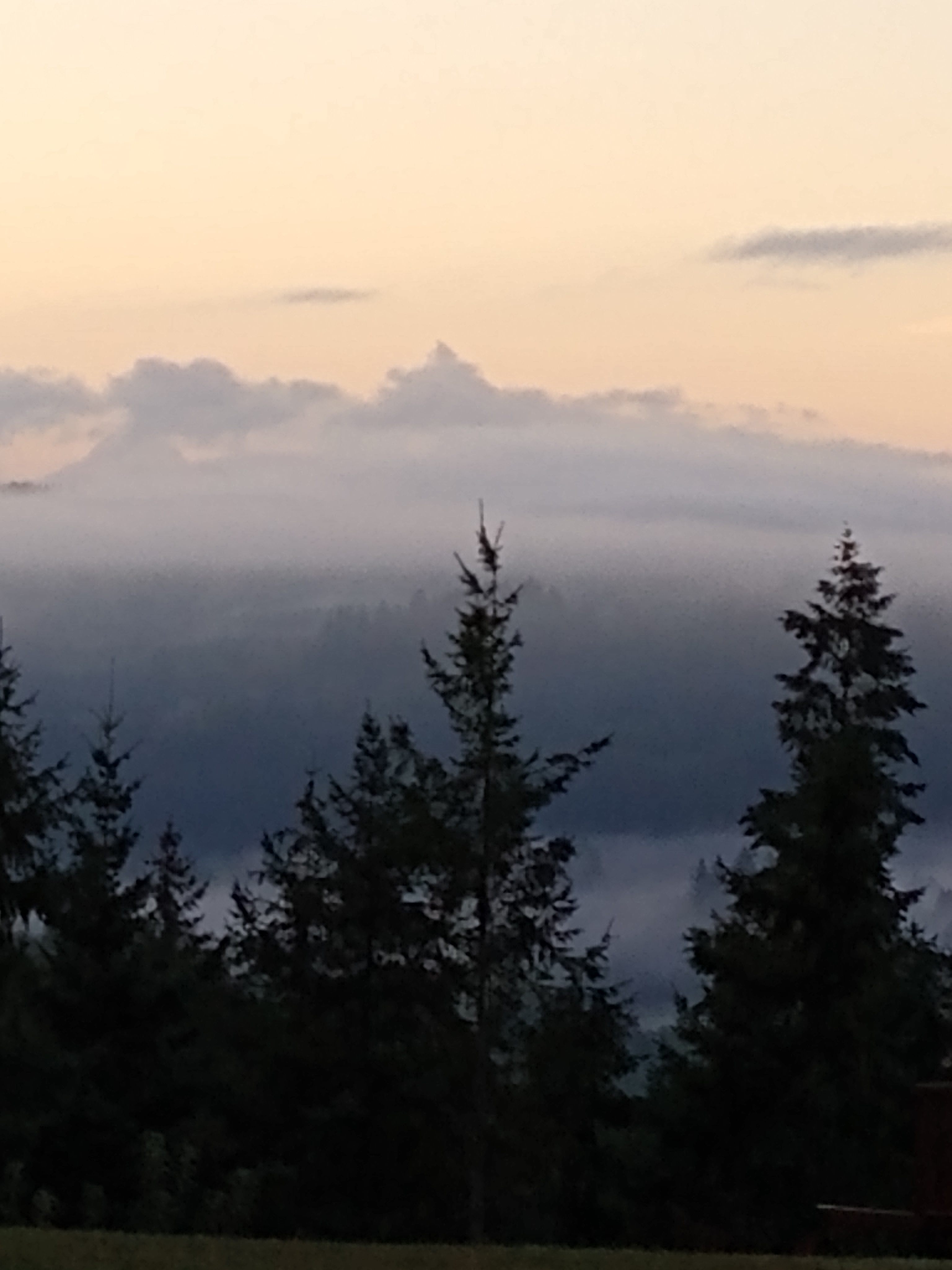 I Capture Beautiful Nature Scenes In My Neighborhood; Here Are 15 Of My Favorites