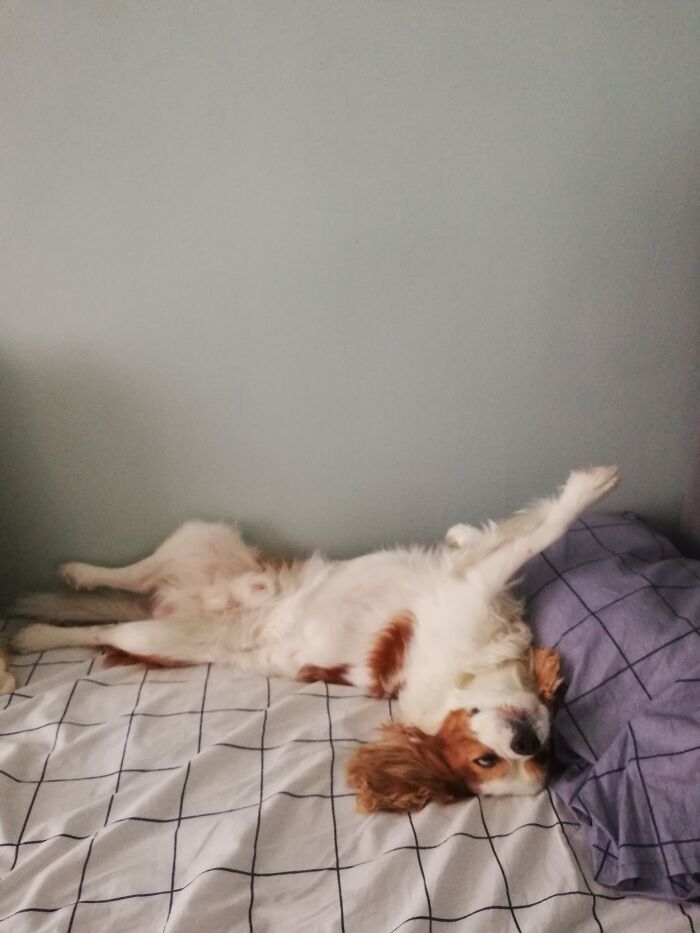 He Sleeps With Open Eyes Sometimes