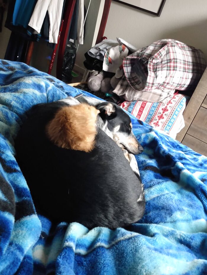 What Is This Growth On Me