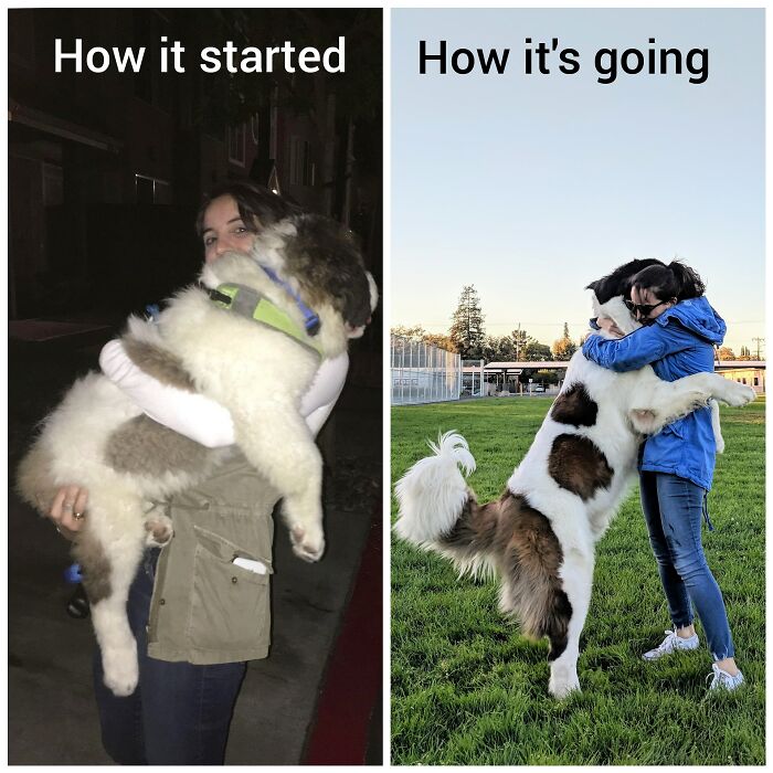 A Lot Can Change In 3 Years