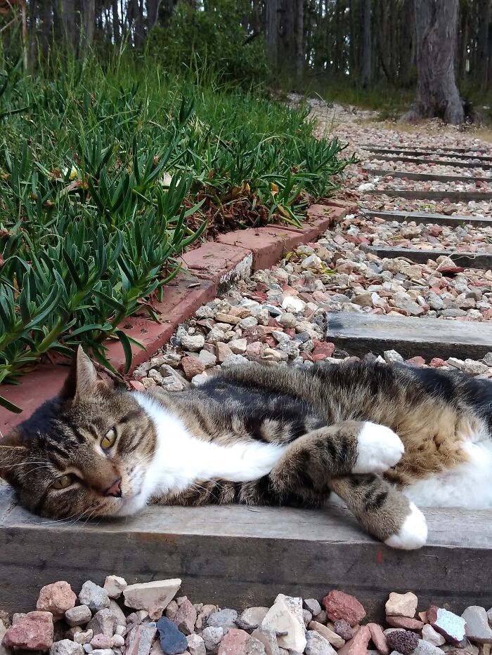 Well, I Was Asleep. Thanks..