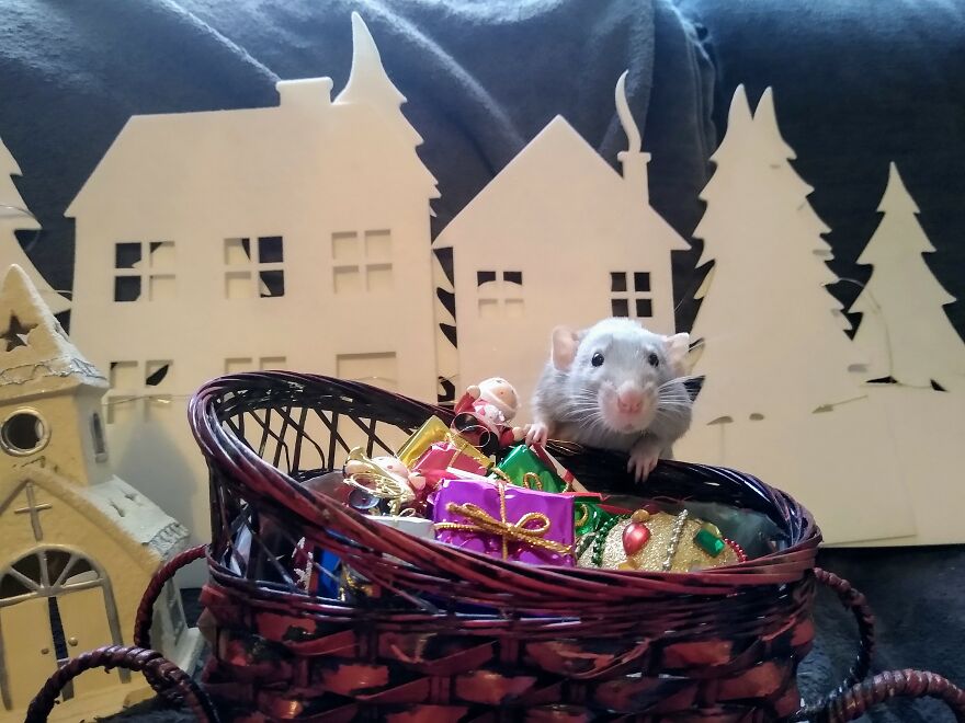 So Many Presents To Deliver!